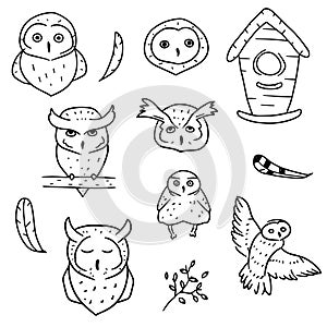 Collection of doodle elements and owls on white background. Set of birds drawn in simple style. Nesting box owls and feather