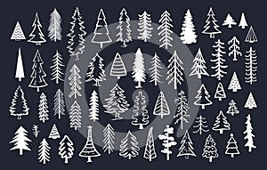 Collection of doodle pine fir conifer trees photo