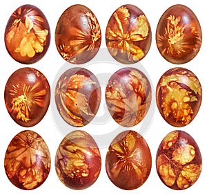 Collection of Dozen Easter Eggs Red Dyed and Decorated with Leaves Imprints Isolated on White Background