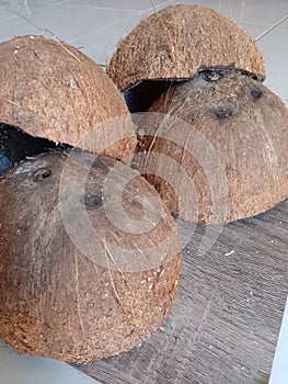 Collection of Dried Coconut Shells