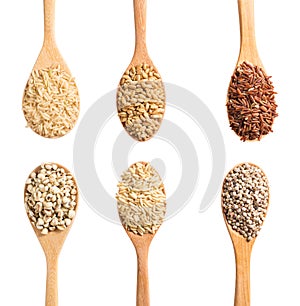 Collection of dry cereals on a wooden spoon, Clipping Path