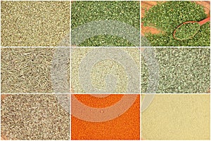 Collection of dry herbs spices