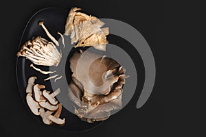 Collection of edible mushrooms on a black ceramic plate on a dark background