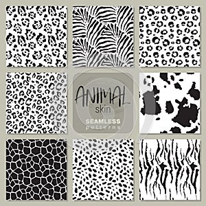 Collection of eight vector seamless patterns with animal skin zebra, leopard, jaguar, giraffe cow.