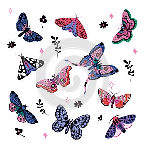 Collection of elegant exotic butterflies and moths isolated on white background.