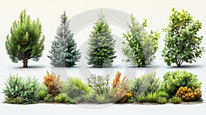 Collection of Evergreen Trees and Shrubs Generative AI photo
