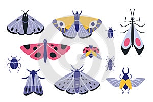 Collection of exotic butterflies, moths and bugs, cartoon style. Set of insects. Trendy modern vector illustration