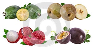 Collection of exotic fruits isolated on a white