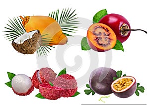 Collection of exotic fruits isolated on a white