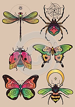 Collection of fantasy colorful insects for design. Vector graphics