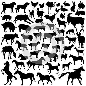 Collection of farm animal vector