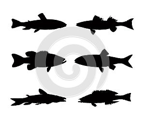 Collection of fish silhouette