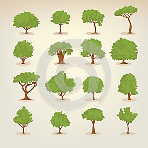 Collection of flat trees