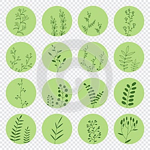 Collection of floral round icons in green color. Set of various vector highlight covers for social media stories. Hand drawn