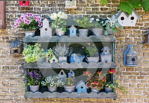Collection of flowers and bird houses on Texel island
