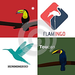 Collection of Flying Birds vector illustration. Humming Birds, Iconic Flamingo and Toucan bird Set logo design