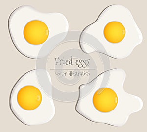 Collection of four fried eggs vector illustration