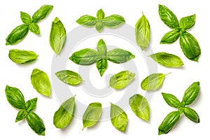 Collection of fresh basil leaves isolated on white, top view