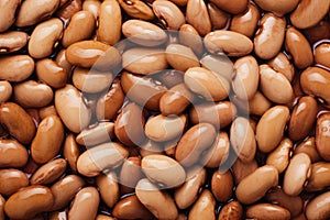 Photo Pattern of Fresh Beans