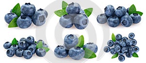 Collection of fresh blueberry on white background