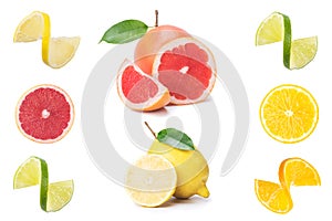 Collection of fresh citrus fruit slices isolated on white. Collage of lemon, grapefruit and orange