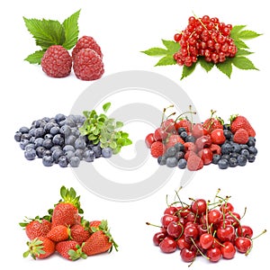 Collection of fresh fruits