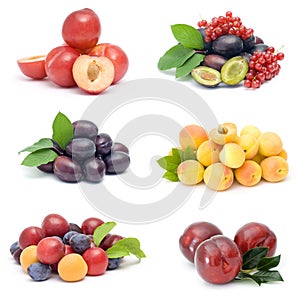 Collection of fresh fruits