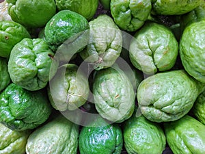 Collection of fresh green chayote squash fruit