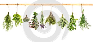 Collection of fresh herbs. Basil, sage, dill, thyme, mint, lavender