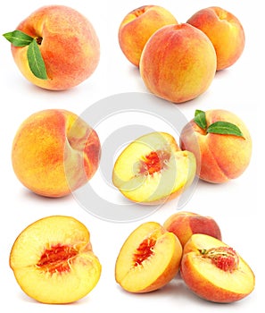 Collection of fresh peach fruits isolated