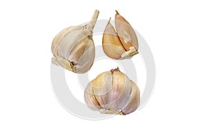 Collection of fresh sliced garlic , isolated on white background