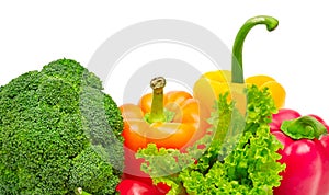 Collection fresh vegetables