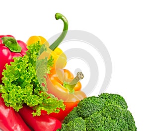 Collection fresh vegetables