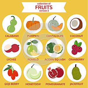 Collection of fruits version three, food vector illustration