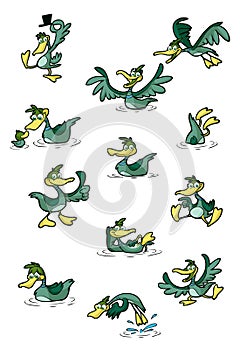 Collection of fun ducks