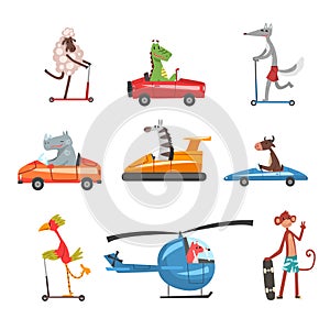 Collection of Funny Animal Characters Using Various Types of Vehicles, Rabbit, Dragon, Hippo, Zebra, Cow, Bird, Fox