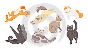 Collection of funny cats of various breeds lying, sitting, washing itself, playing with ball. Bundle of cute cartoon pet animals