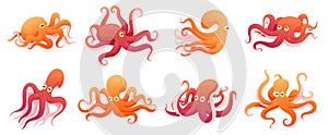 Collection funny childish octopus in different poses vector flat illustration