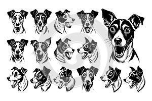 Collection of funny jack russell terrier dog head illustration design