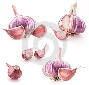 Aus knoblauch 