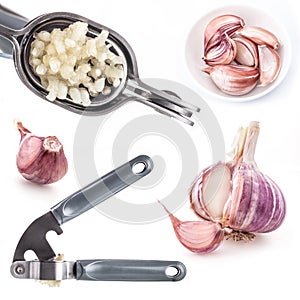 Collection of Garlic press and garlic