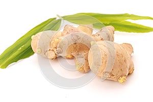 Collection of ginger root