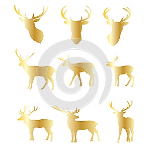 Collection of gold Christmas deer silhouettes isolated on the black background. Golden Xmas reindeers. Vector