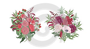 Collection of gorgeous bouquets or bunches of red and pink wild blooming flowers and flowering plants isolated on white photo