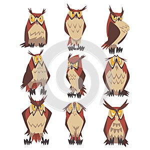 Collection of Great Horned Owls Birds Characters, Eurasian Eagle Owls Vector Illustration