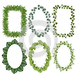 Collection of green leaf frames isolated on white background