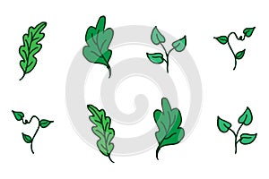 Collection of green leaves vector illustration on white background. set of green leaf with green outline. hand drawn vector. doodl