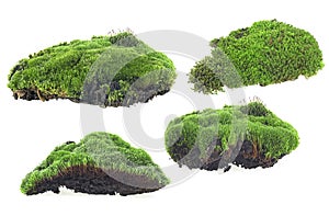 Collection of green moss pieces isolated on white background, front view