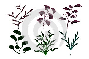 Collection of greenery leaf plant forest herbs tropical leaves spring flora vector illustration