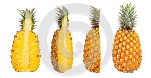 Collection half pineapple isolated